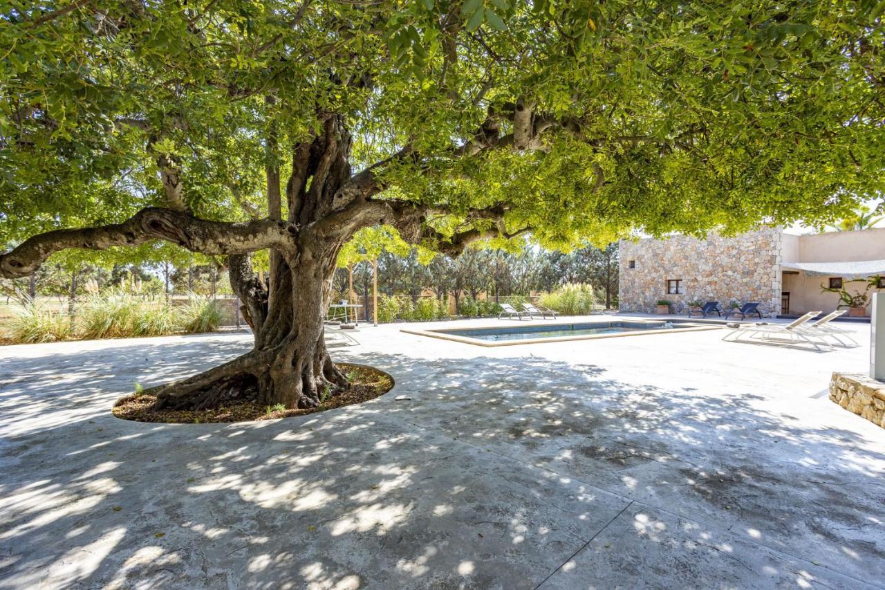 Villa Es Triquet Family Binisalem Kültér fotó